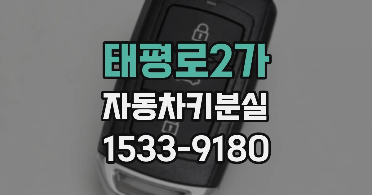 태평로2가 자동차키분실