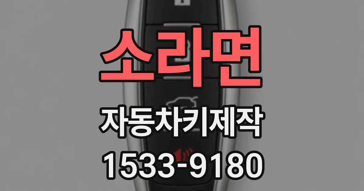 소라면 자동차키제작