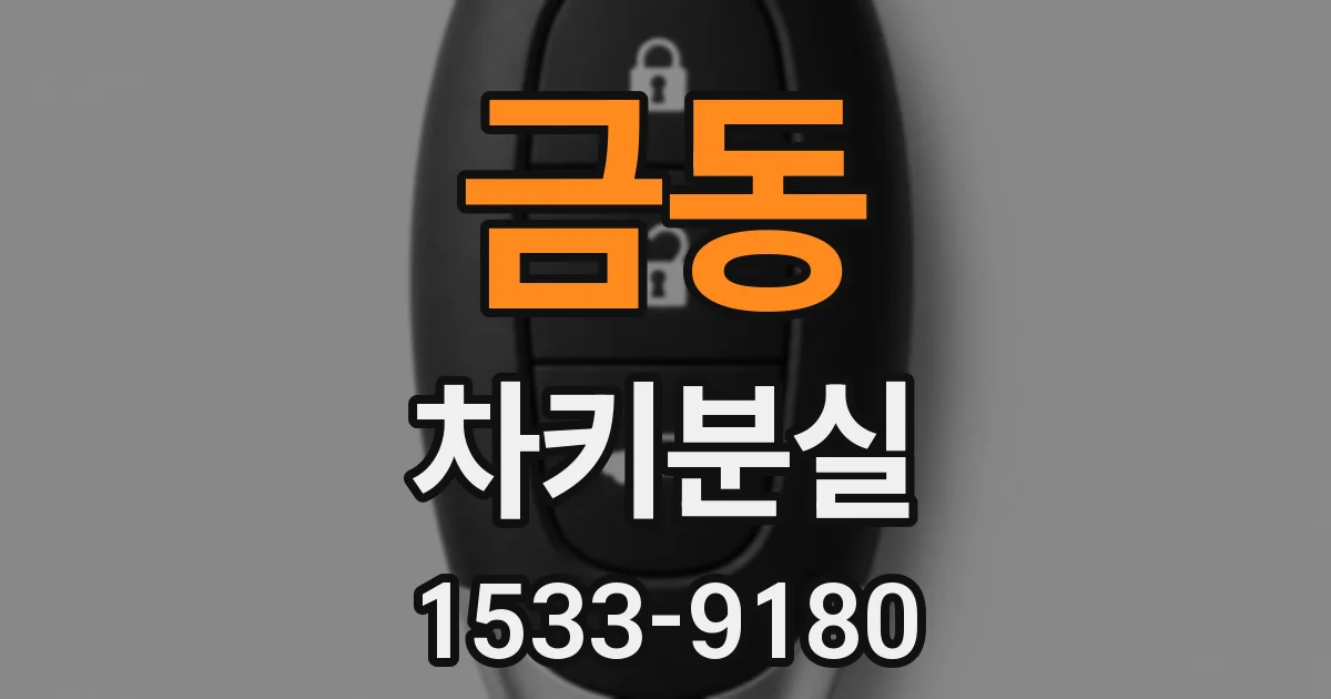 금동 차키분실
