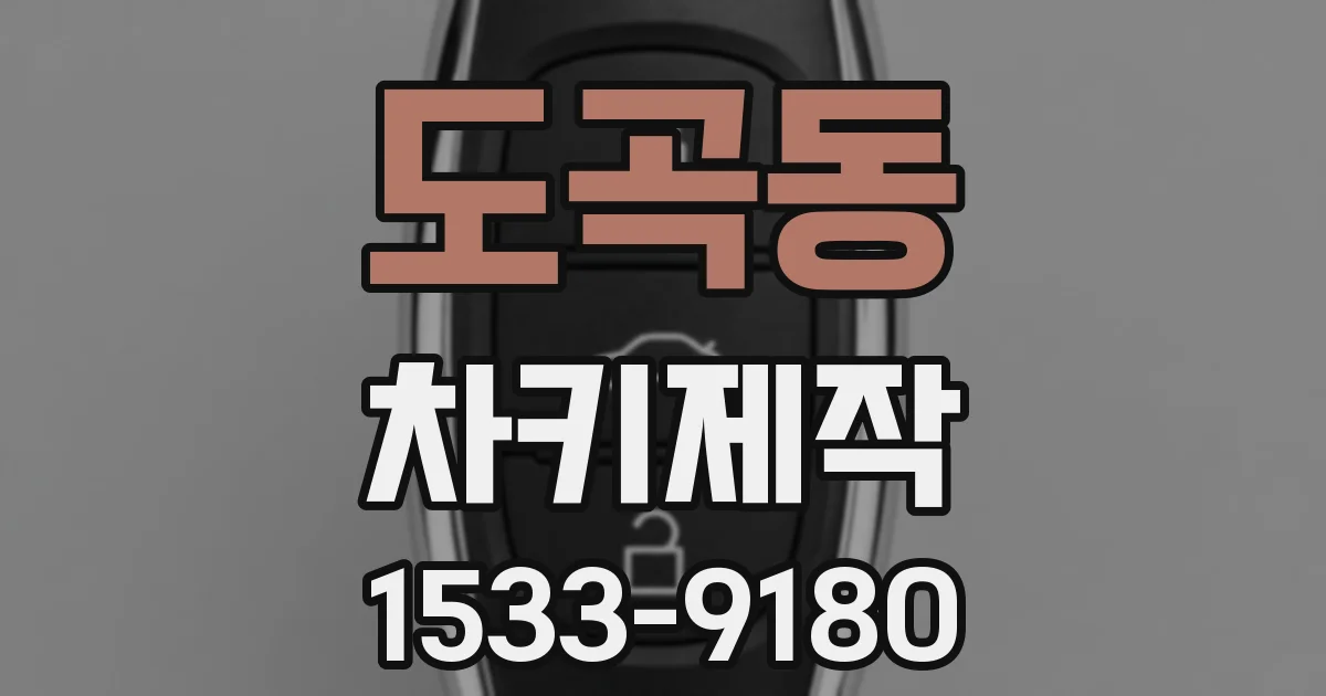 도곡동 차키제작