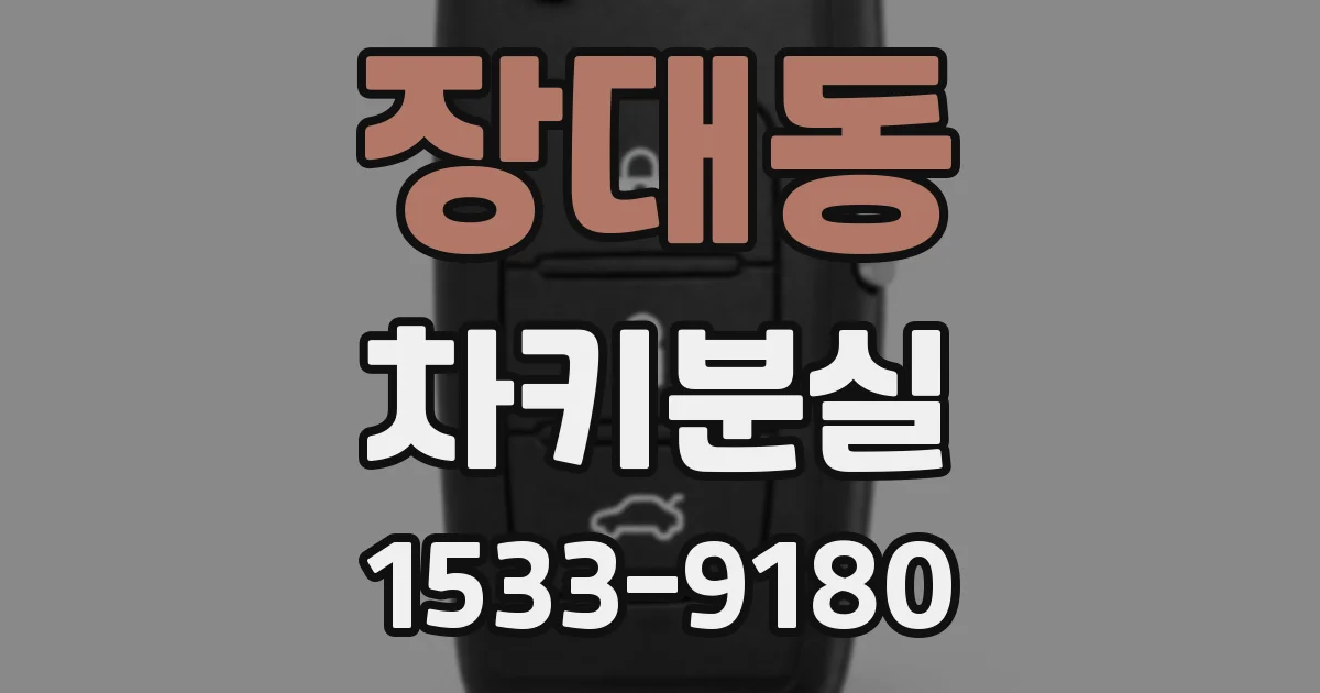 장대동 차키분실