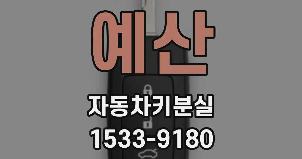 예산 자동차키분실