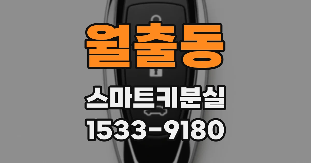 월출동 스마트키분실