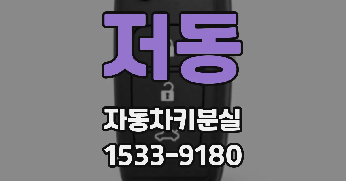 저동 자동차키분실