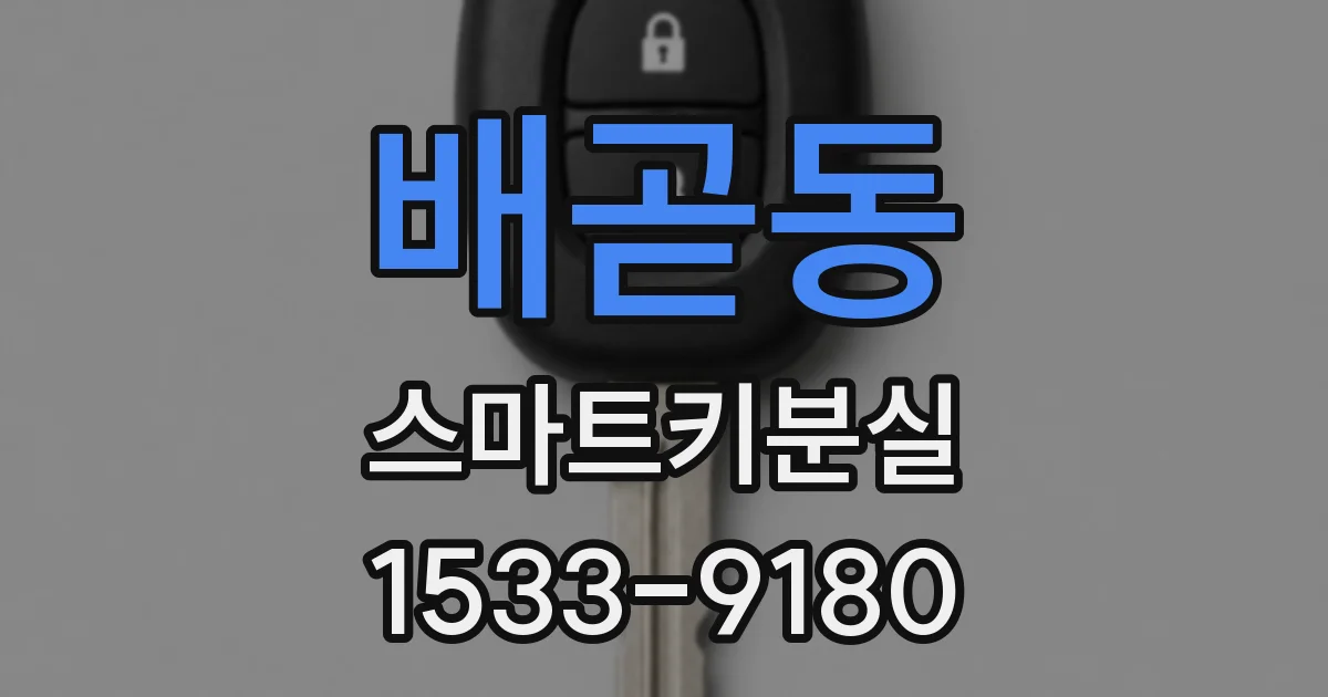 배곧동 스마트키분실