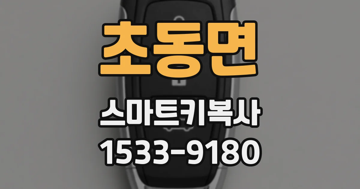 초동면 스마트키복사
