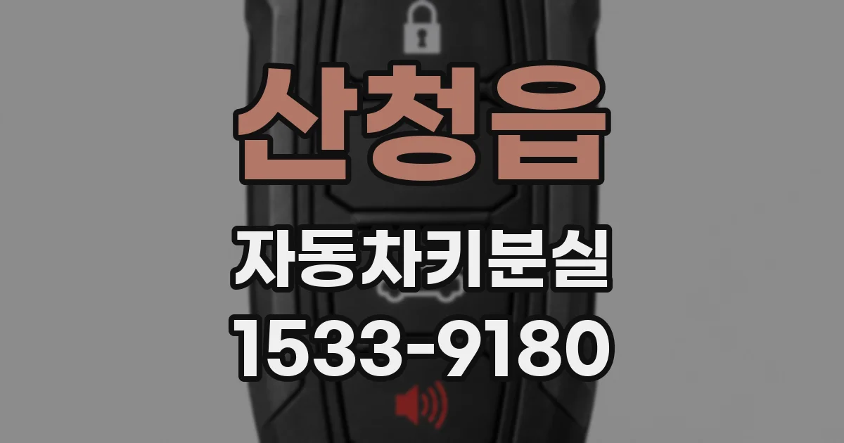 산청읍 자동차키분실