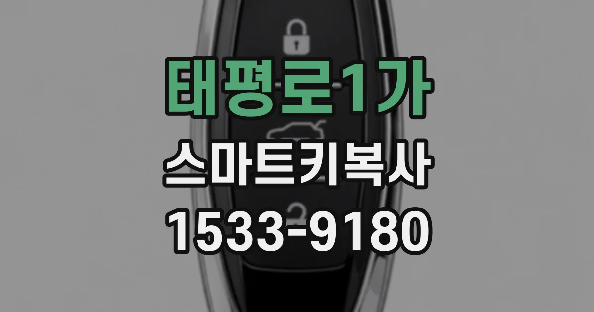 태평로1가 스마트키복사