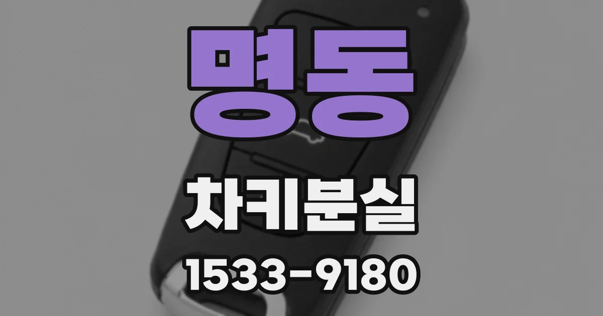 명동 차키분실