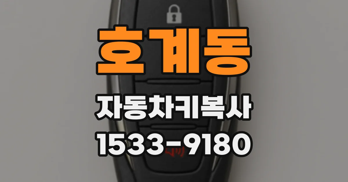호계동 자동차키복사