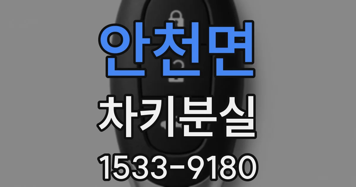 안천면 차키분실