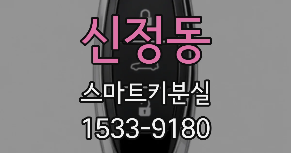 신정동 스마트키분실