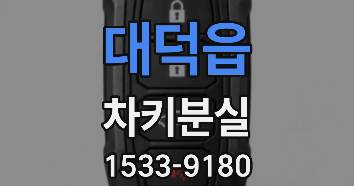 대덕읍 차키분실