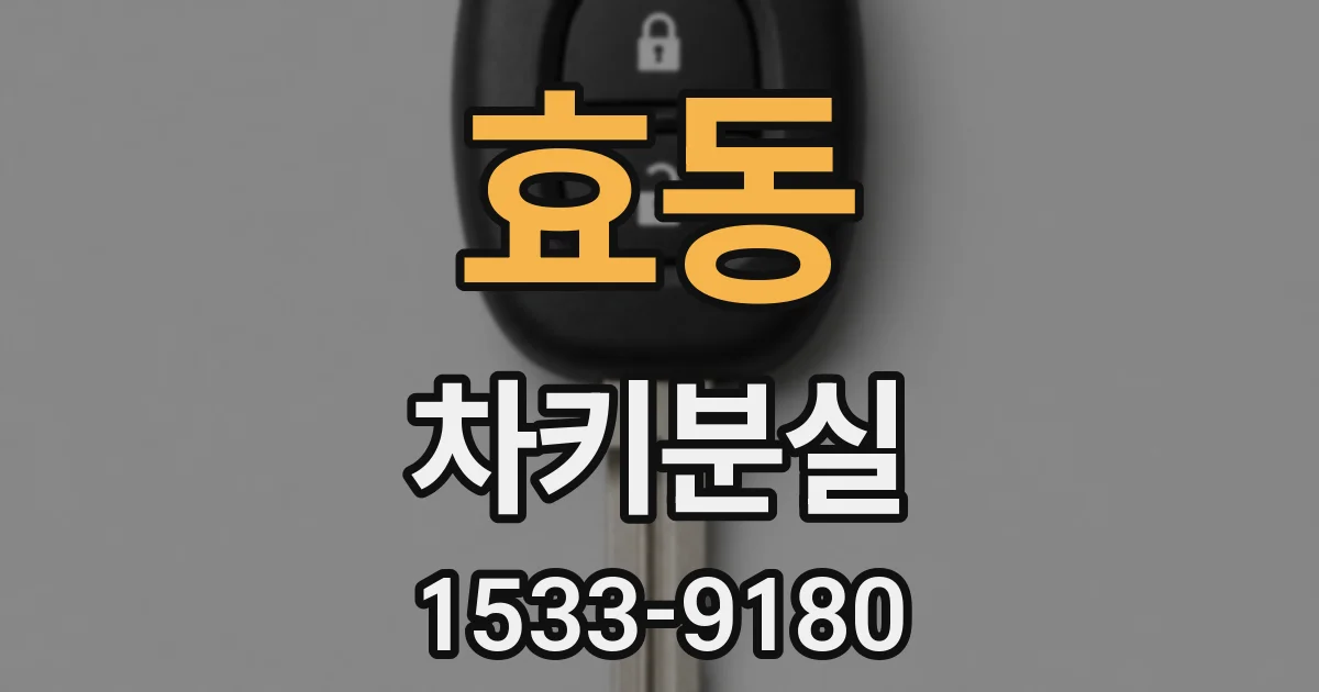 효동 차키분실