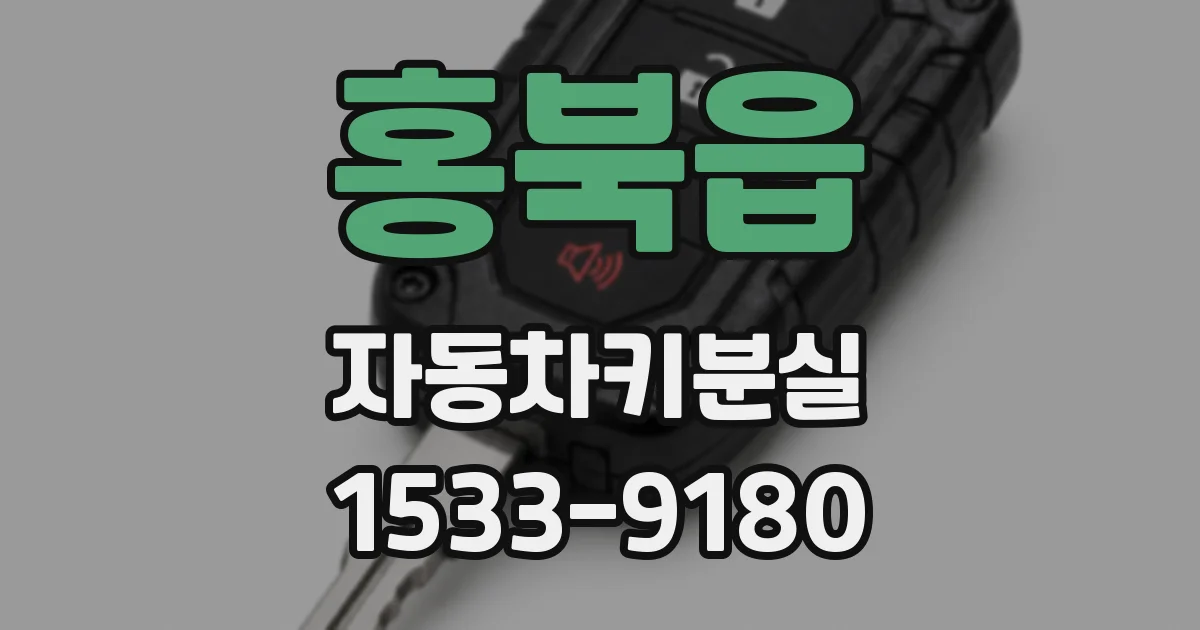 홍북읍 자동차키분실