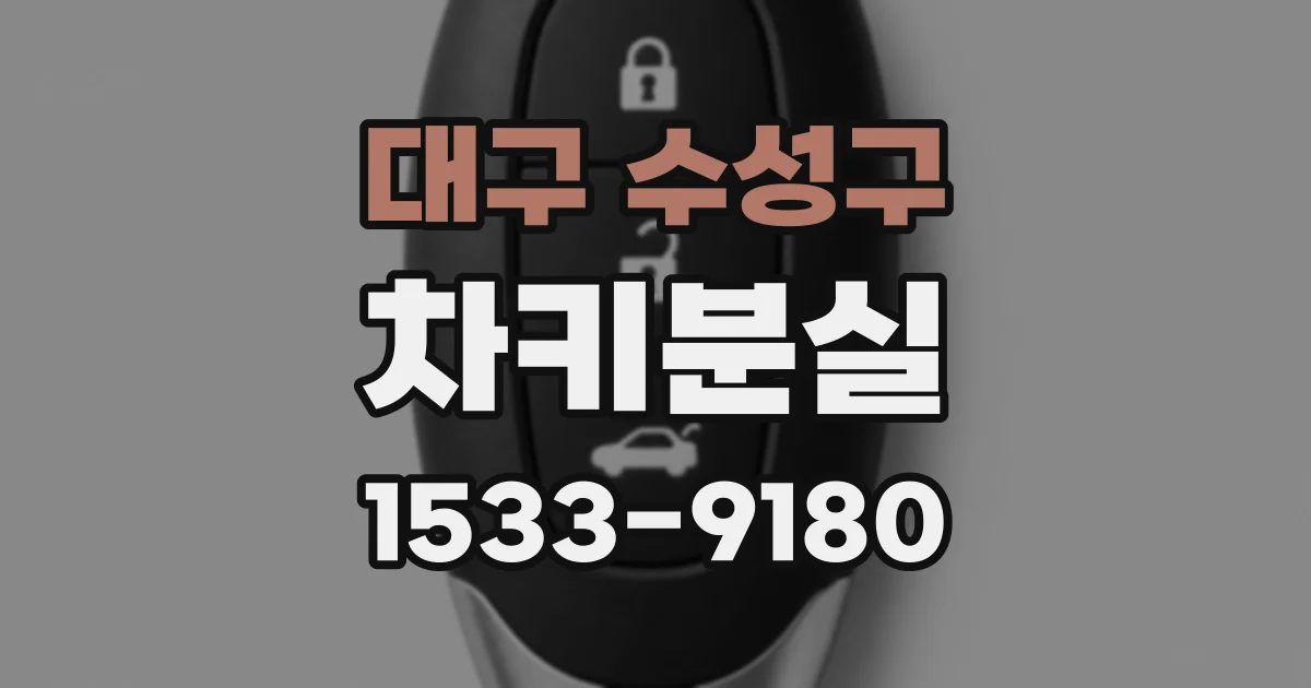 대구 수성구 차키분실