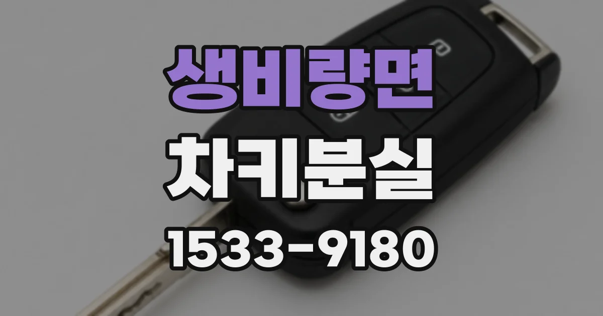 생비량면 차키분실