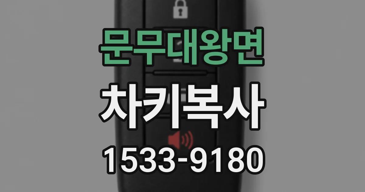문무대왕면 차키복사