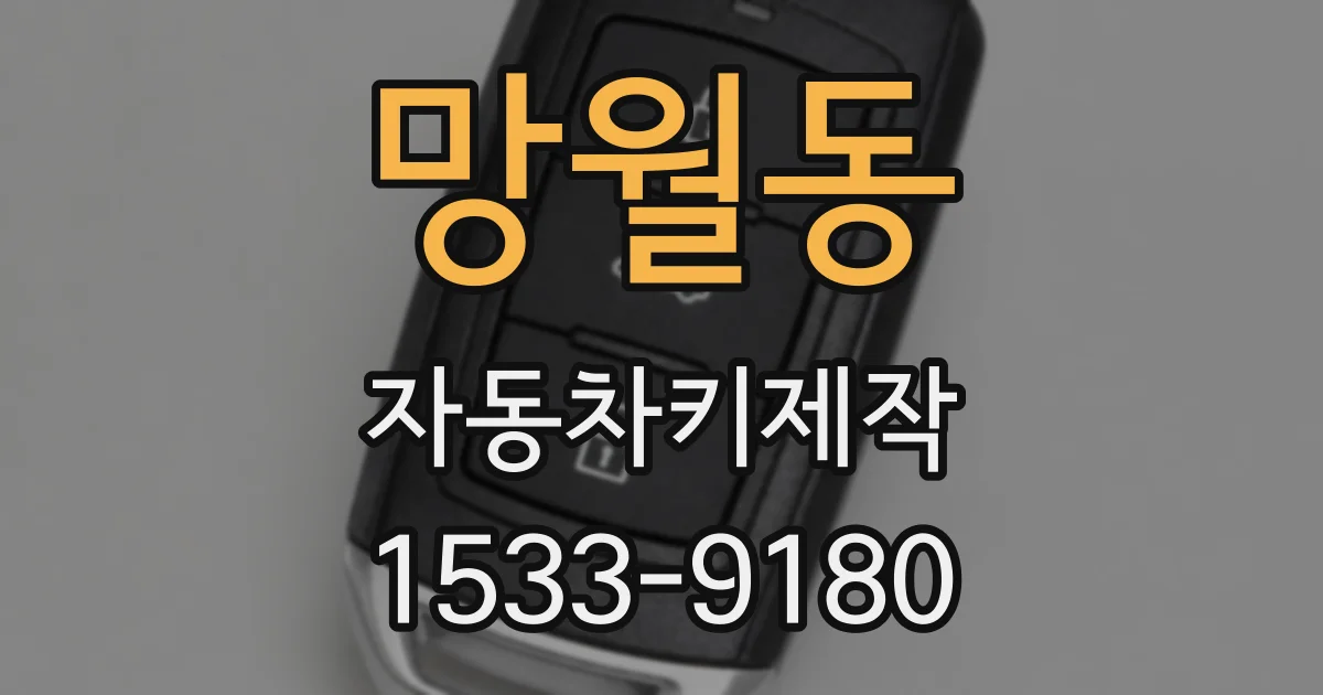 망월동 자동차키제작