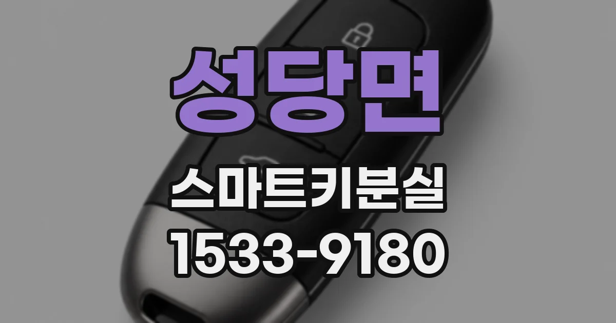 성당면 스마트키분실