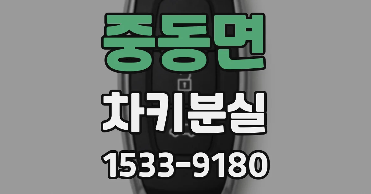 중동면 차키분실