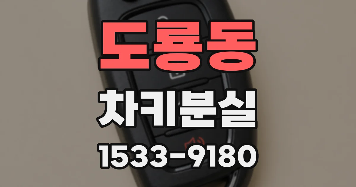 도룡동 차키분실