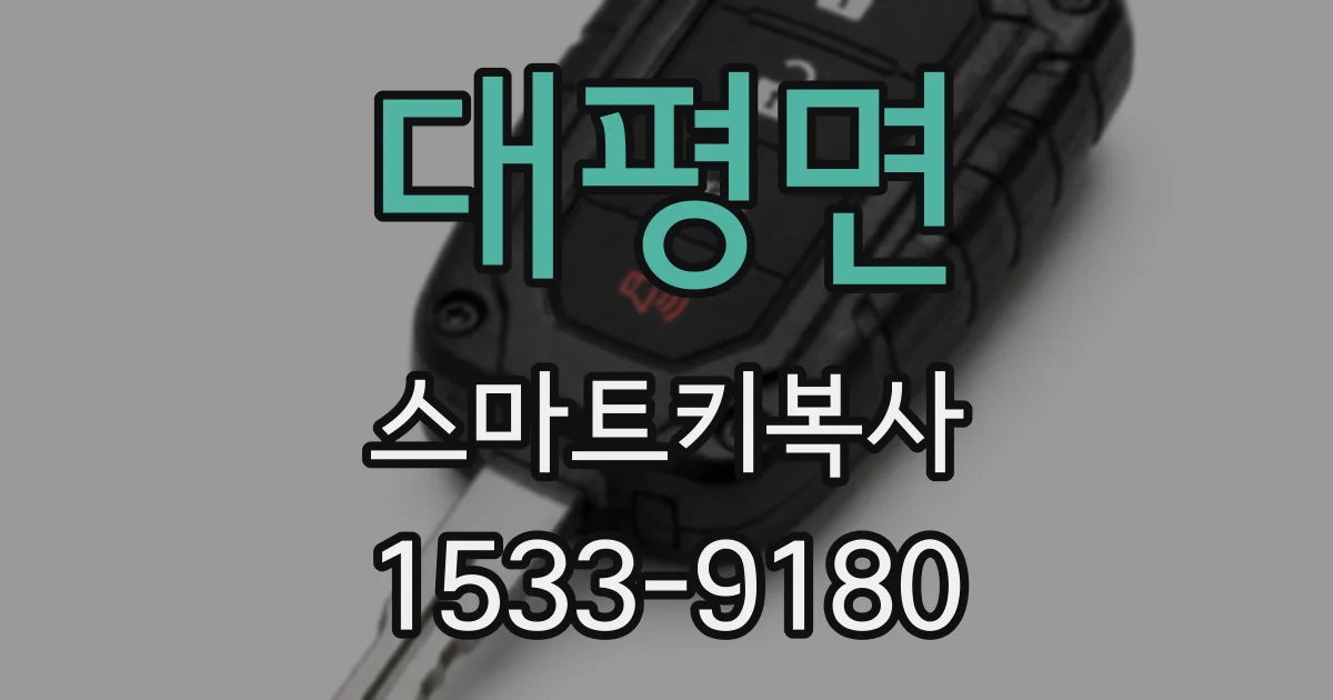 대평면 스마트키복사