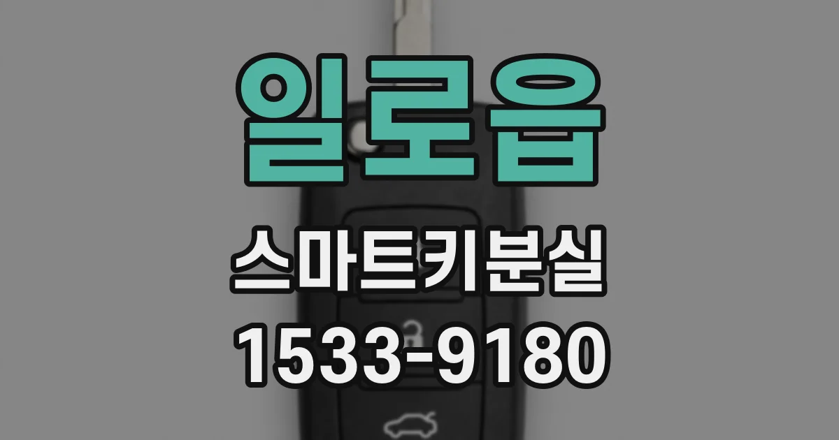 일로읍 스마트키분실