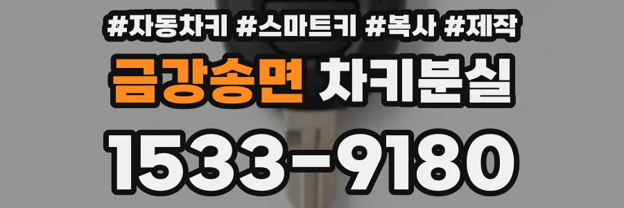 금강송면 차키분실