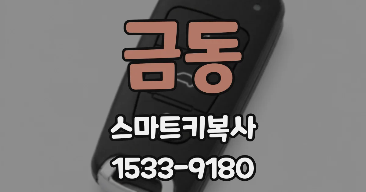 금동 스마트키복사