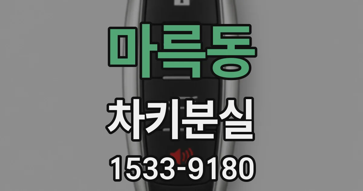 마륵동 차키분실