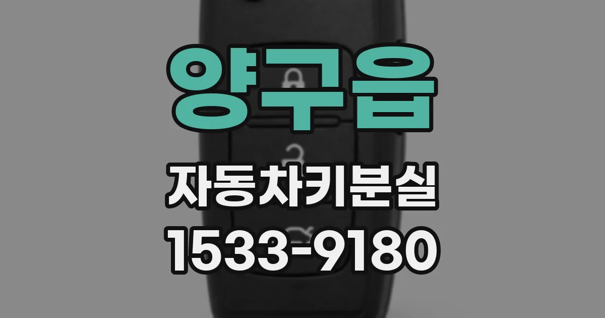 양구읍 자동차키분실
