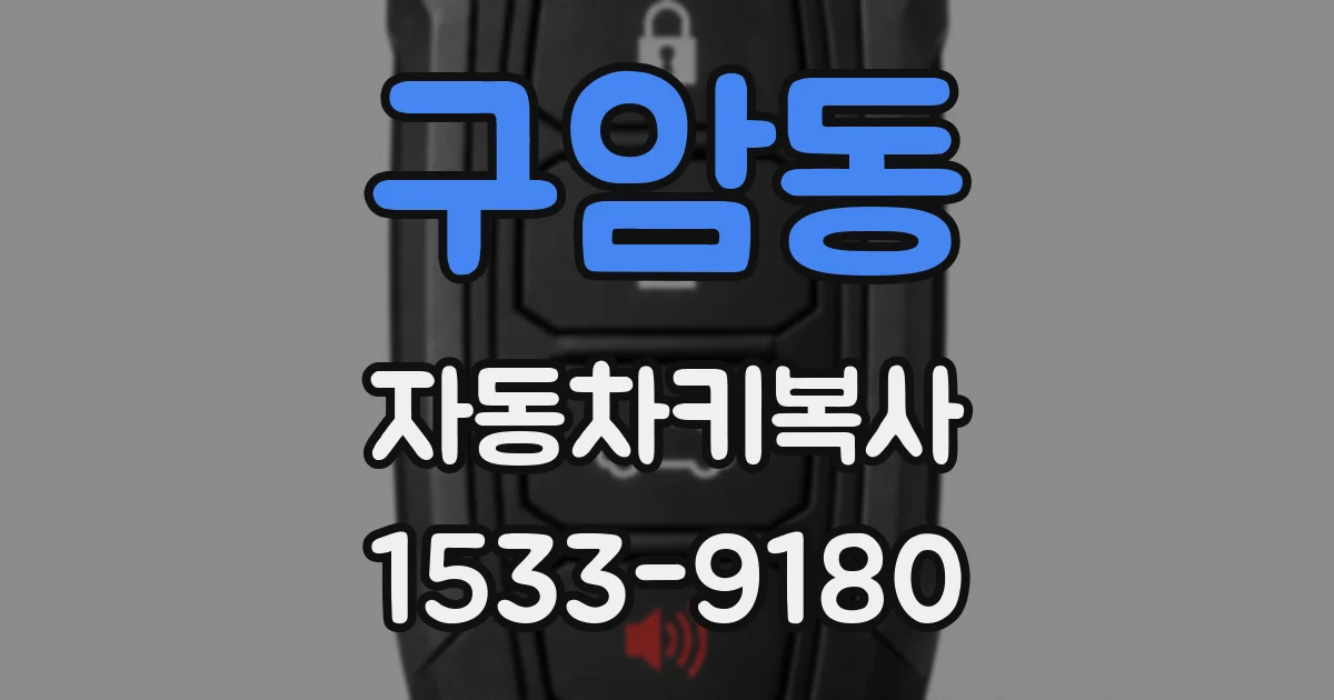 구암동 자동차키복사
