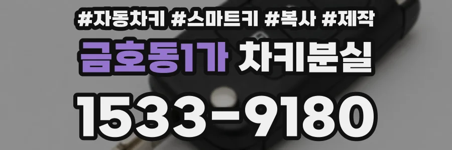 금호동1가 차키분실