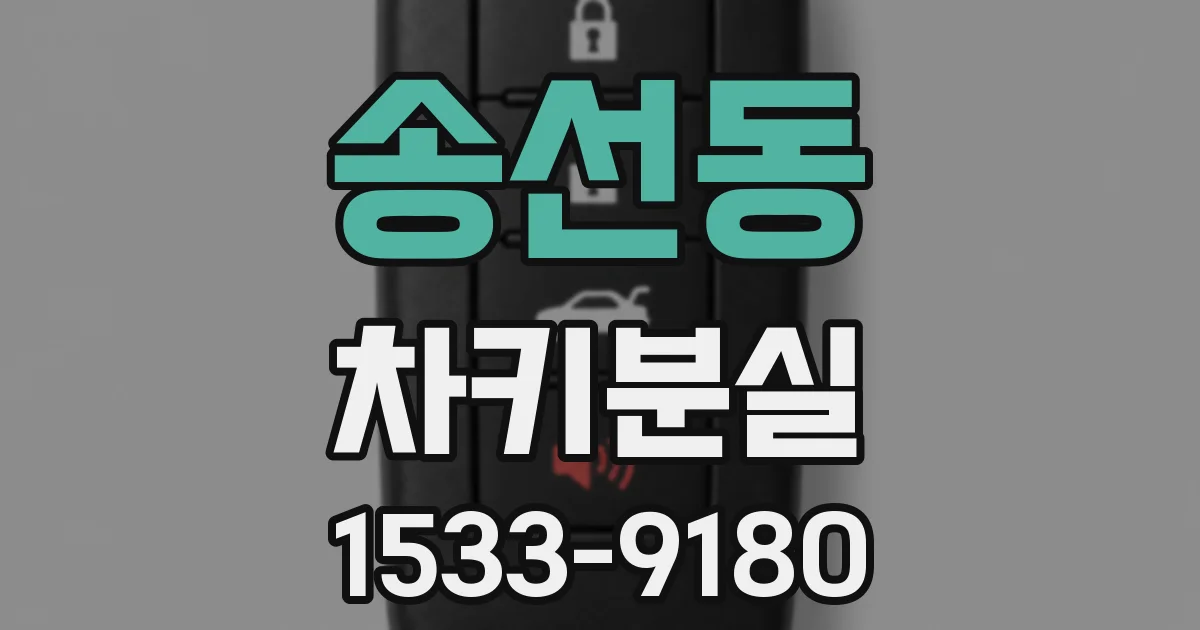 송선동 차키분실