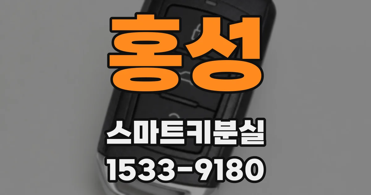 홍성 스마트키분실