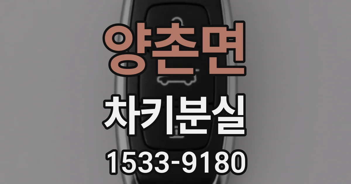 양촌면 차키분실