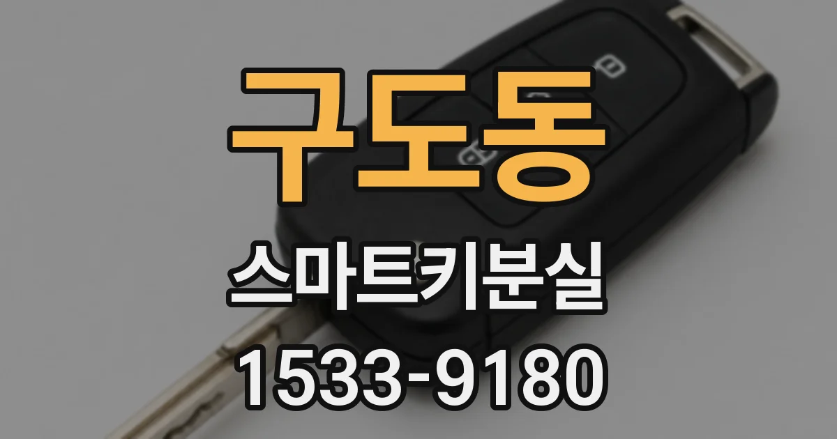구도동 스마트키분실