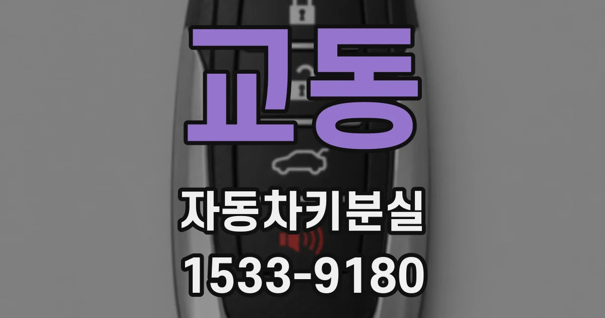 교동 자동차키분실