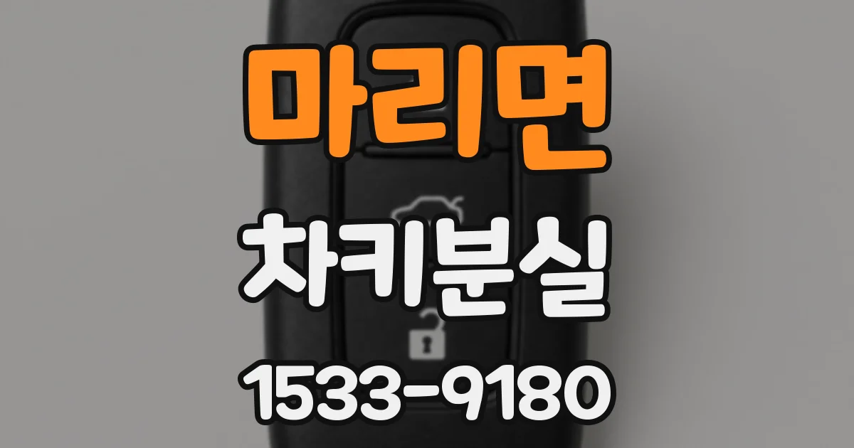 마리면 차키분실