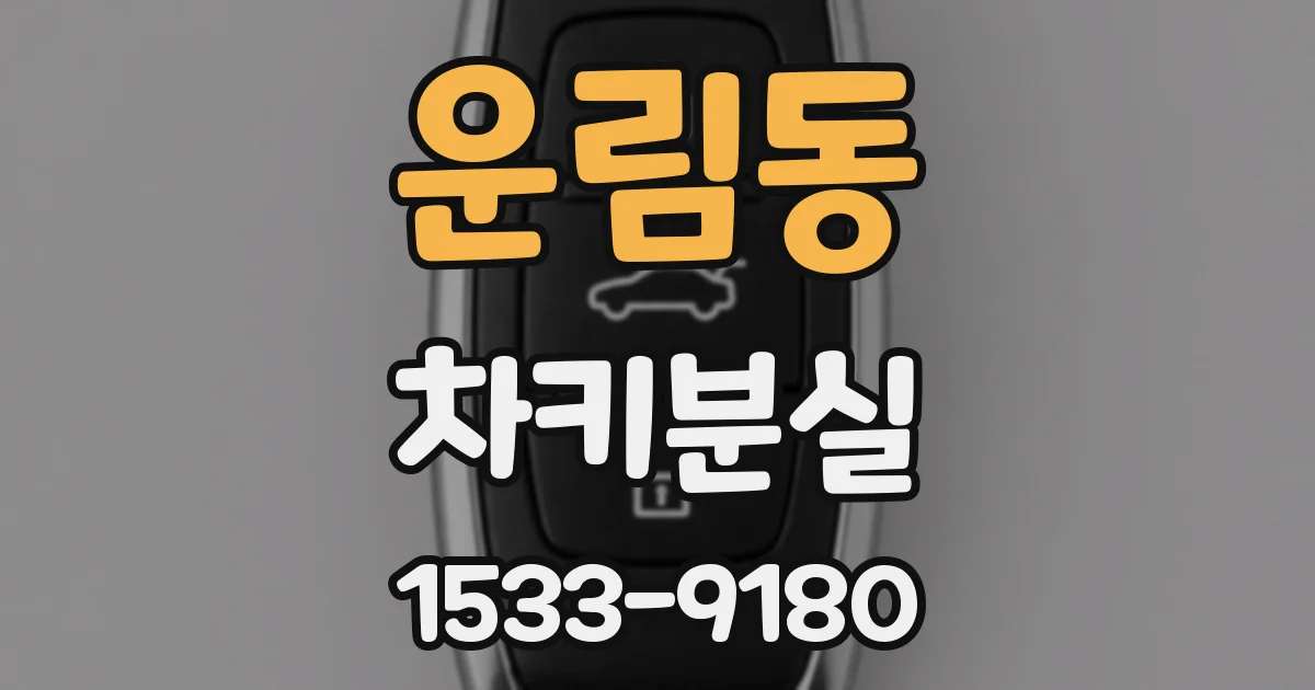 운림동 차키분실