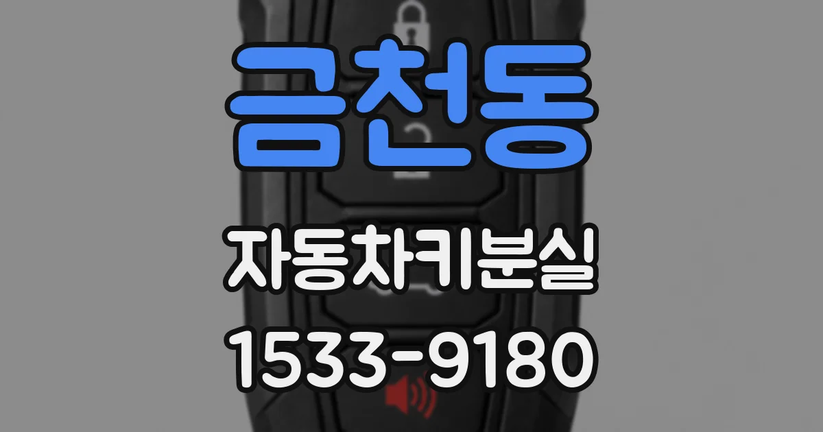 금천동 자동차키분실