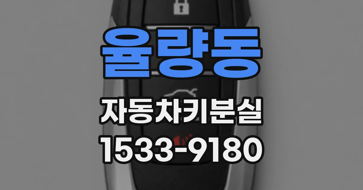 율량동 자동차키분실