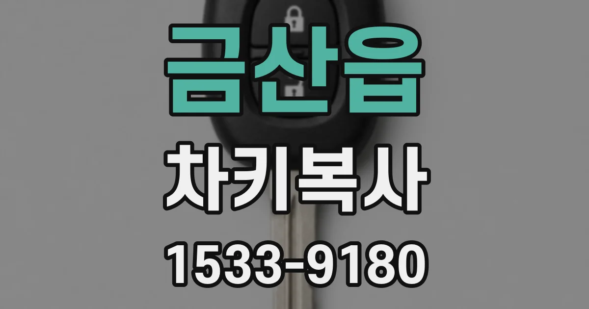 금산읍 차키복사