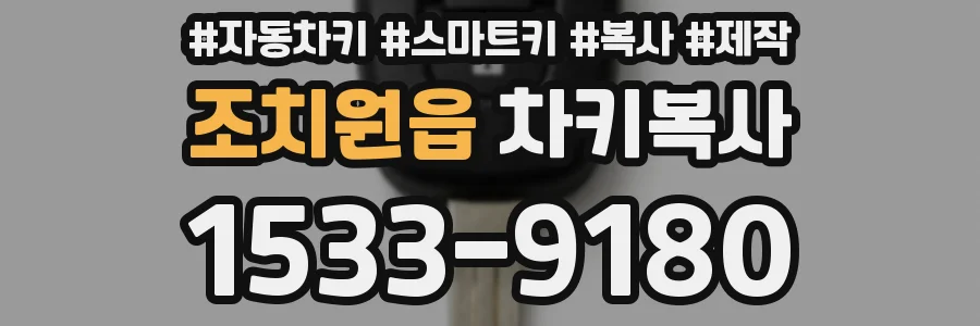 조치원읍 차키복사