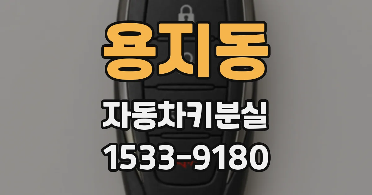 용지동 자동차키분실