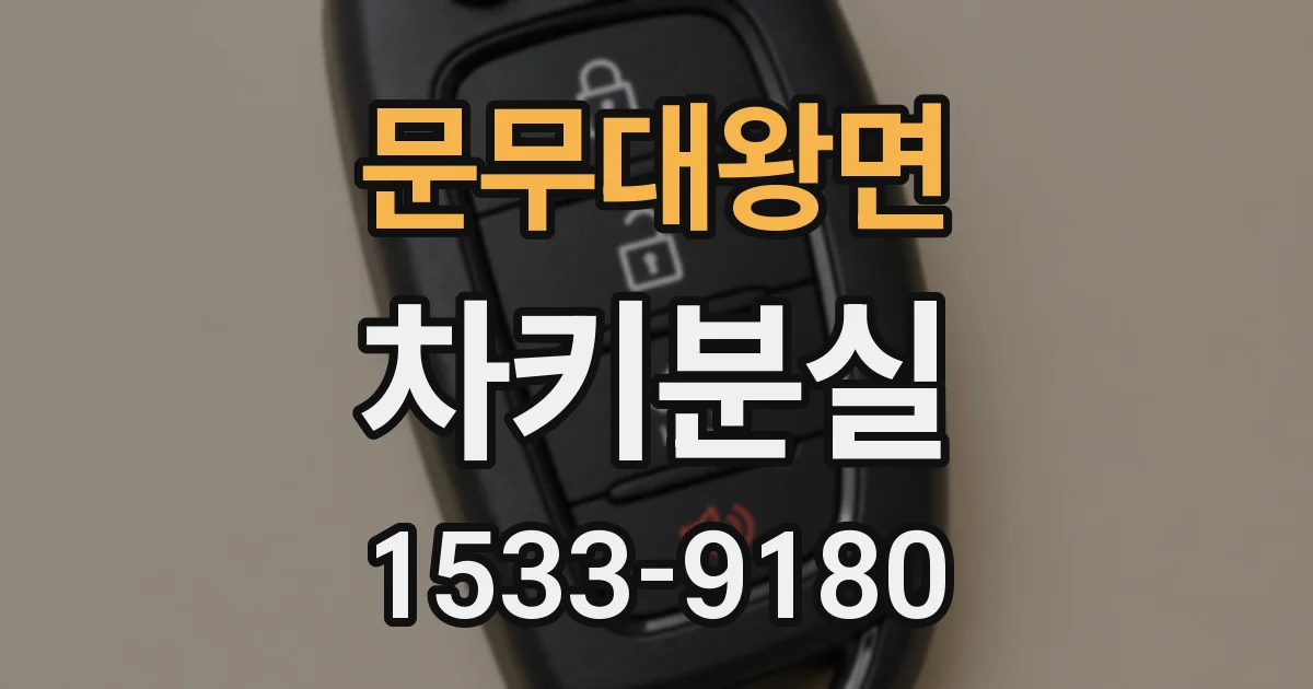 문무대왕면 차키분실