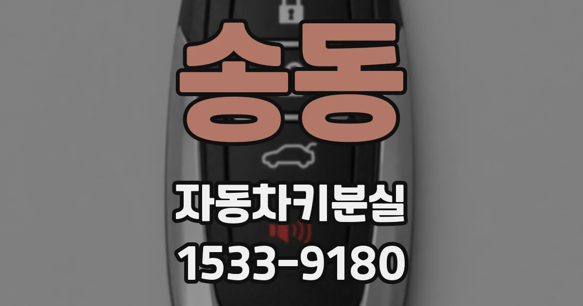 송동 자동차키분실
