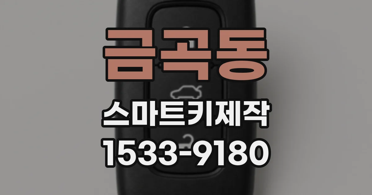 금곡동 스마트키제작