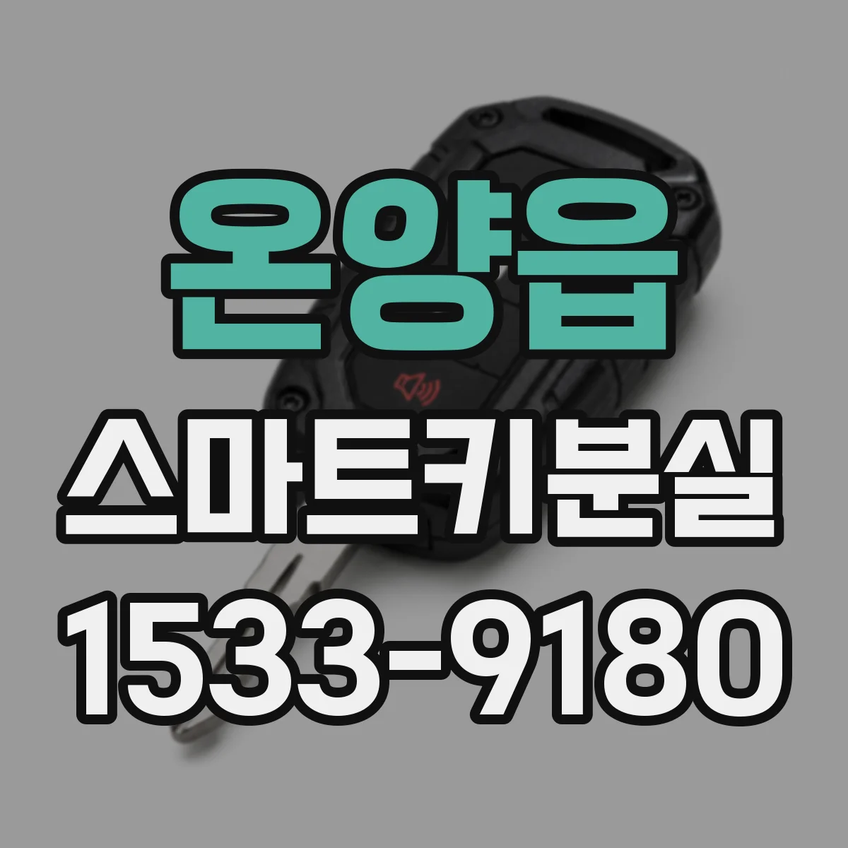 온양읍 스마트키분실